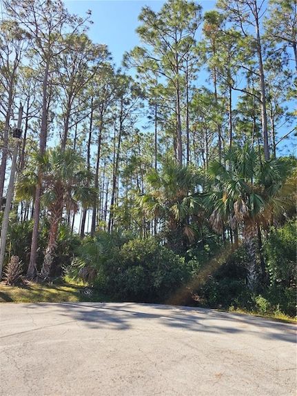 Undeveloped Land for sale in Flagler County, Florida