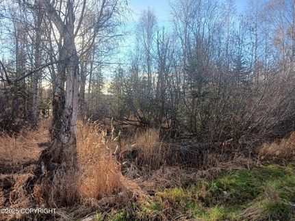 Undeveloped Land for sale in Matanuska-Susitna Borough, Alaska