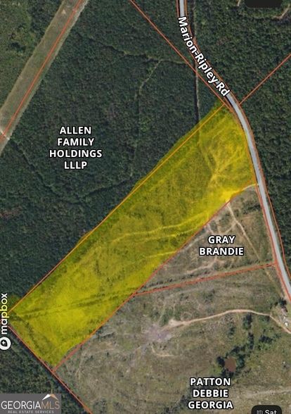 Undeveloped Land for sale in Twiggs County, Georgia