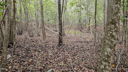 Undeveloped Land for sale in Warren County, North Carolina