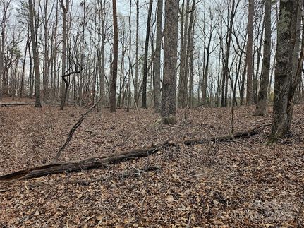 Undeveloped Land for sale in Polk County, North Carolina