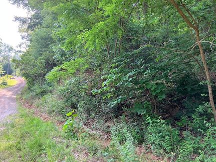 Undeveloped Land for sale in Rutherford County, North Carolina