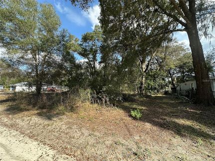 Undeveloped Land for sale in Marion County, Florida