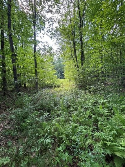 Property for sale in Chenango County, New York
