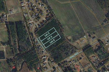 Undeveloped Land for sale in Horry County, South Carolina
