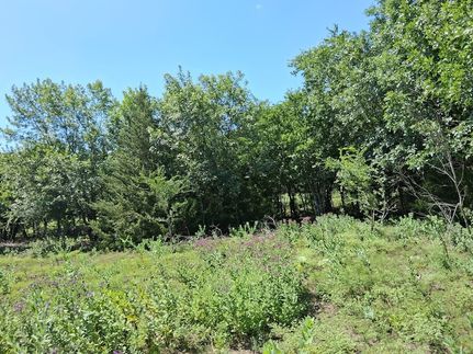 Property for sale in Ellis County, Texas