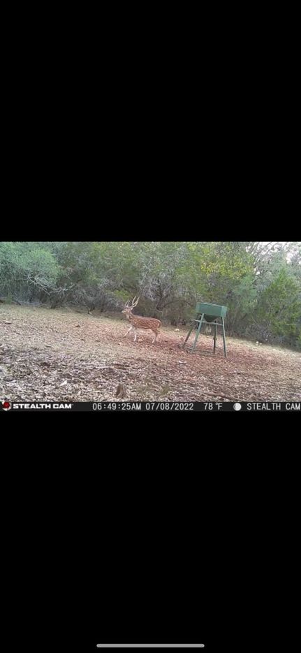 Property for sale in Uvalde County, Texas