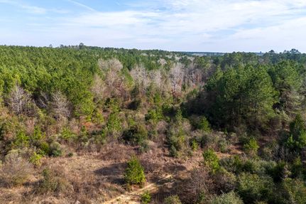 Recreational Property for sale in Shelby County, Texas