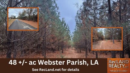 Property for sale in Webster Parish, Louisiana