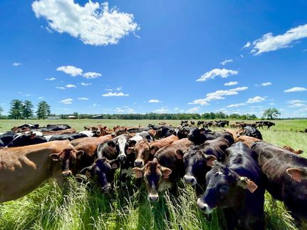 Farm Property for sale in Juneau County, Wisconsin