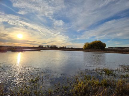 Farm Property for sale in Debaca County, New Mexico