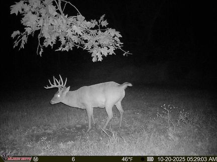 Farm Property for sale in Alexander County, Illinois