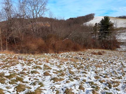 Property for sale in Hancock County, West Virginia