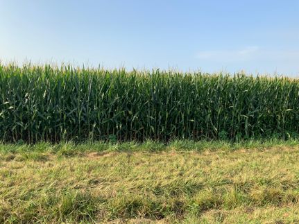 Farm Property for sale in Piatt County, Illinois