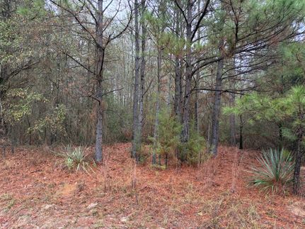 Recreational Property for sale in Cass County, Texas