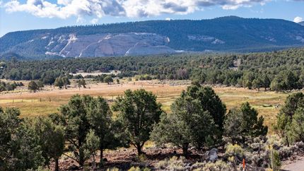 Farm Property for sale in Wayne County, Utah