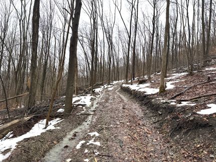 Property for sale in Cattaraugus County, New York