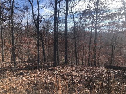 Property for sale in Dent County, Missouri