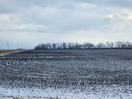 Property for sale in Pembina County, North Dakota