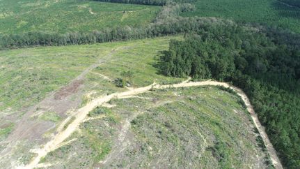 Farm Property for sale in Jasper County, Texas