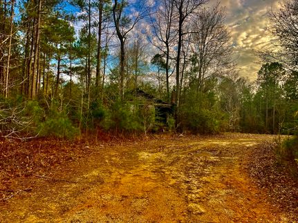 Property for sale in Walthall County, Mississippi