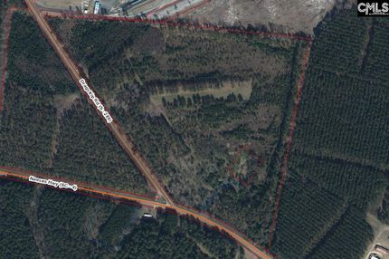 Undeveloped Land for sale in Orangeburg County, South Carolina