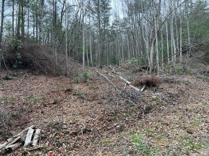 Undeveloped Land for sale in Sevier County, Tennessee