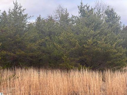 Property for sale in Lake County, Michigan