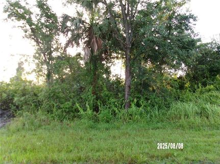 Undeveloped Land for sale in Charlotte County, Florida