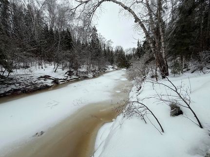 Property for sale in Chippewa County, Michigan