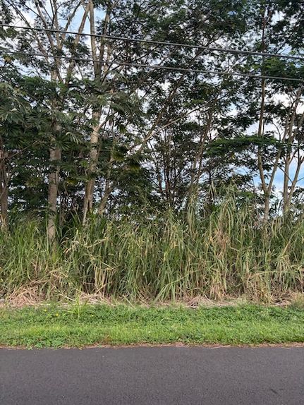 Undeveloped Land for sale in Hawaii County, Hawaii