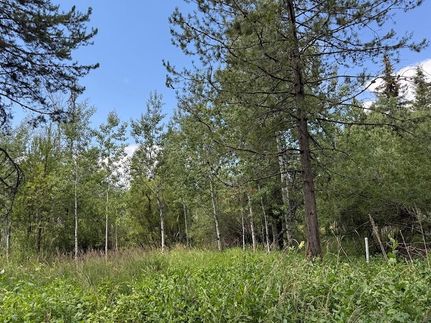 Undeveloped Land for sale in Valley County, Idaho
