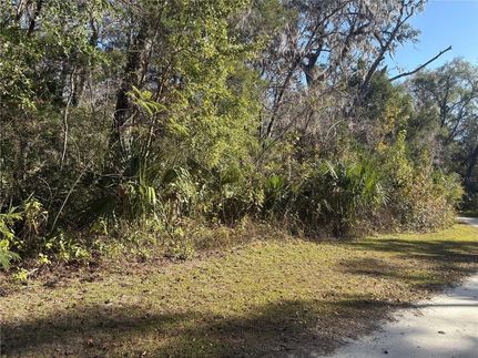 Undeveloped Land for sale in Citrus County, Florida