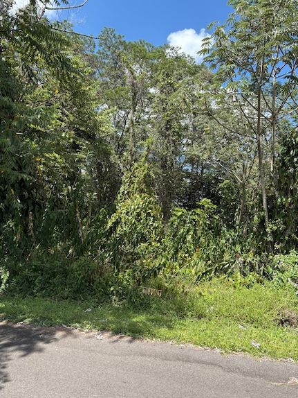 Undeveloped Land for sale in Hawaii County, Hawaii