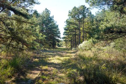 Property for sale in Catahoula Parish, Louisiana