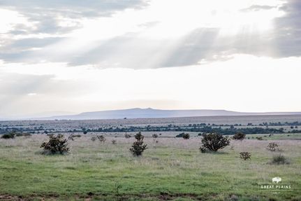 Farm Property for sale in Harding County, New Mexico