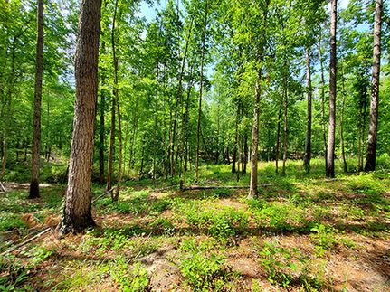 Farm Property for sale in Glascock County, Georgia