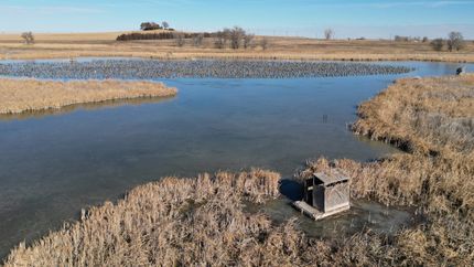 Hunting Land for sale in Weld County, Colorado