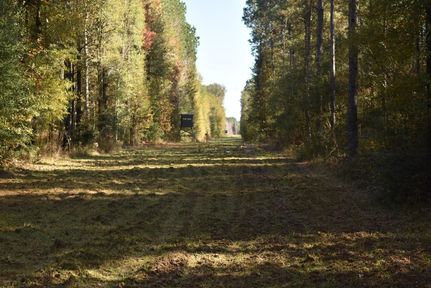 Farm Property for sale in East Feliciana Parish, Louisiana