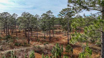 Recreational Property for sale in Lee County, Georgia