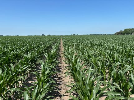 Property for sale in Kearney County, Nebraska