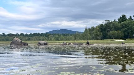 Property for sale in Oxford County, Maine