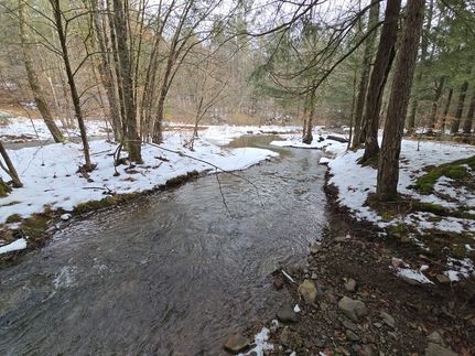 Property for sale in Chenango County, New York