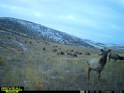 Property for sale in Moffat County, Colorado