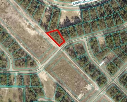 Undeveloped Land for sale in Marion County, Florida