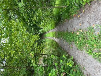 Timberland Property for sale in Richmond County, Virginia