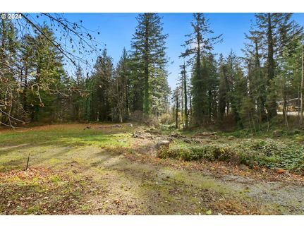 Property for sale in Skamania County, Washington