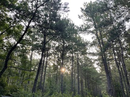 Property for sale in Angelina County, Texas