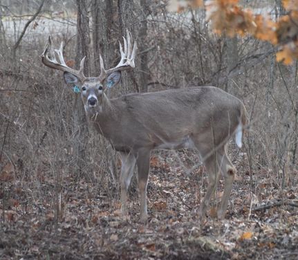 Recreational Property for sale in Bourbon County, Kansas