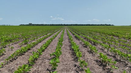 Property for sale in Ramsey County, North Dakota